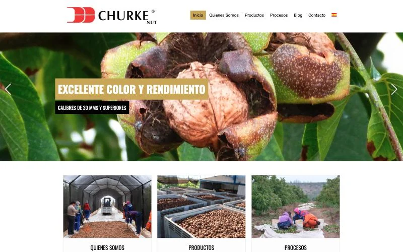 Portada del sitio de Churke Nut